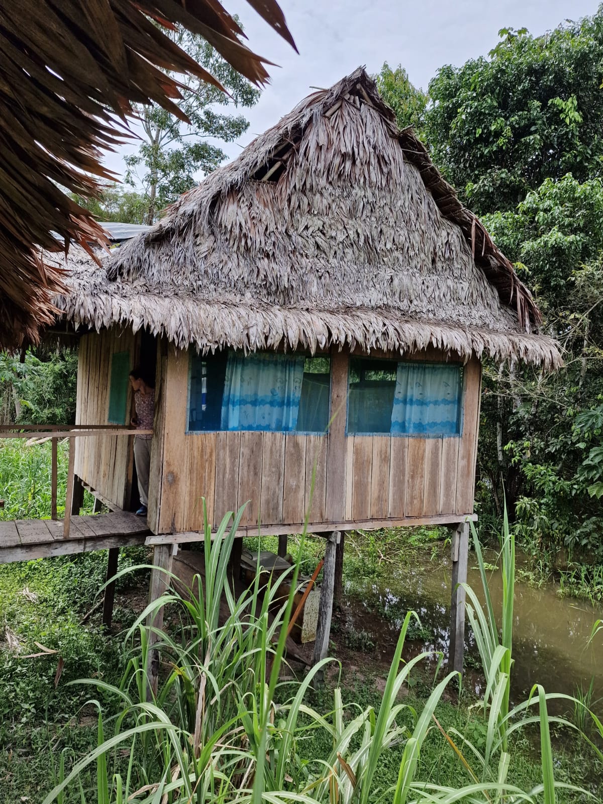 Gemütliche Hütte im Dschungel